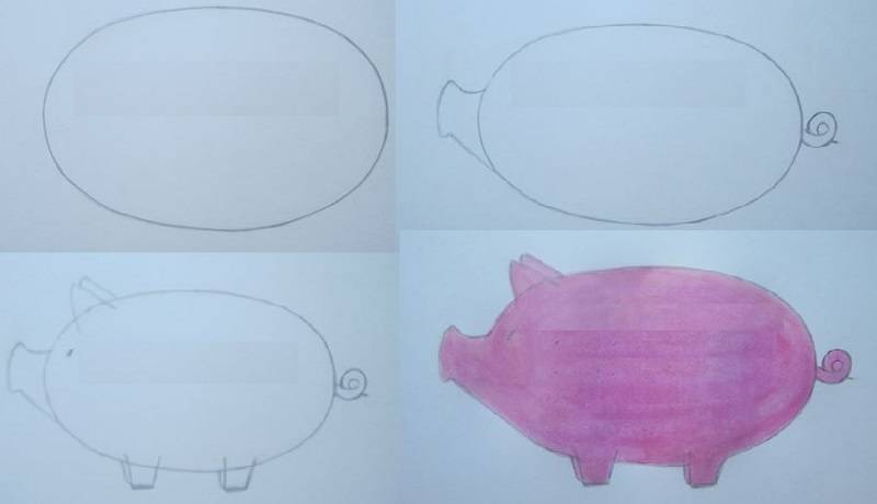 рисунок свиньи
