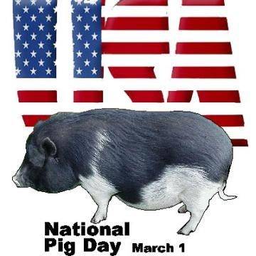 Национальный день свиньи – Клуб любителей хрюш