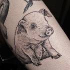 Татуировка свинья: значение, история, дуализм трактовки