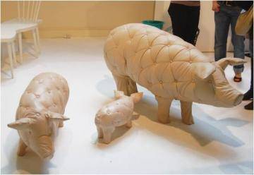  ,  Tufted Pigs