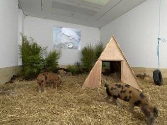 Китайский художник посвятил выставку "Сильной свинье"
