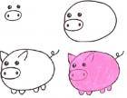 Как нарисовать свинью, поросенка взрослому или ребенку